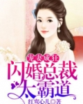 宠妻成狂：闪婚总裁太霸道