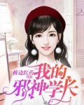 我的邪神女友小说