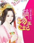 邪王娇宠：萌物王妃