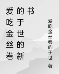 爱吃金丝卷的于世的新书