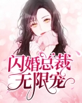 闪婚总裁无限宠