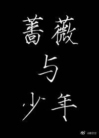 蔷薇与少年 百度网盘