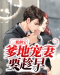 一胎俩宝，爹地宠妻要趁早