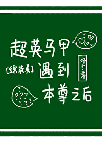 [综英美]超英马甲遇到本尊之后 小说