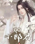 荣府小郎君