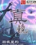 真镜