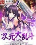 次元大乱斗