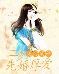 豪门宠婚:二少,先婚厚爱
