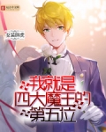 我就是四大魔王的第五位