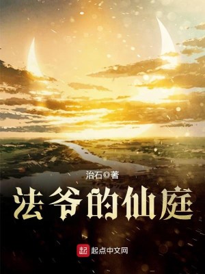 法爷主角