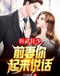 医武狂少,前妻你起来说话