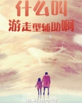 什么叫游走型辅助啊