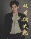 双世擒夫记