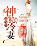 豪门闪婚:帝少的神秘冷妻