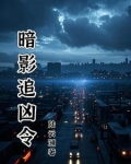 暗夜追凶小说讲的什么