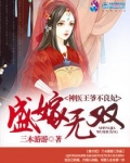 盛嫁无双:神医王爷不良妃