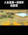 言情的故事