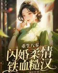 重生八零,闪婚柔情铁血硬汉
