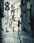 如果不曾遇见