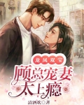 龙凤双宝：顾总宠妻太上瘾