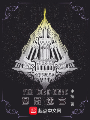 蔷薇迷宫小说讲的什么