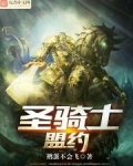 圣骑士盟约