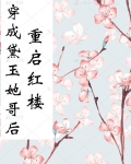 穿成黛玉她哥后重启红楼