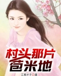村头那片苞米地