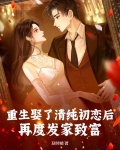 重生娶了清纯初恋后，再度发家致富！