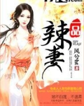 一品辣妻
