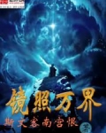 镜照万界