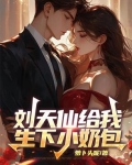 刘天仙给我生下小奶包