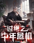 过继之中年危机