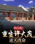 四合院：重生许大茂，逆天改命