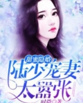 甜蜜隐婚：陆少宠妻太嚣张