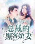 一胎三宝，总裁的黑客娇妻