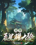双穿，辰星耀大黎