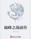 巅峰之战前传