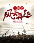 三国之风云再起