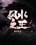 风水之王