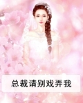 总裁请别戏弄我
