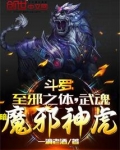 斗罗:至邪之体,武魂暗魔邪神虎