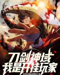 刀剑神域我是开挂玩家