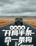 公路求生,开局半条命一条狗