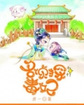 名侦探毒妃