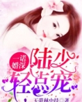一诺婚深:陆少,轻点宠
