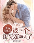 陆总，夫人失忆后被三个哥哥宠翻天了