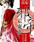 特工医妃:邪帝狠宠妻