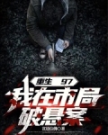 重生97,我在市局破悬案小说