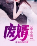 废婿，李小风